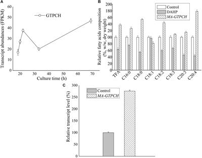 Tetrahydrobiopterin Plays a Functionally Significant Role in Lipogenesis in the Oleaginous Fungus Mortierella alpina